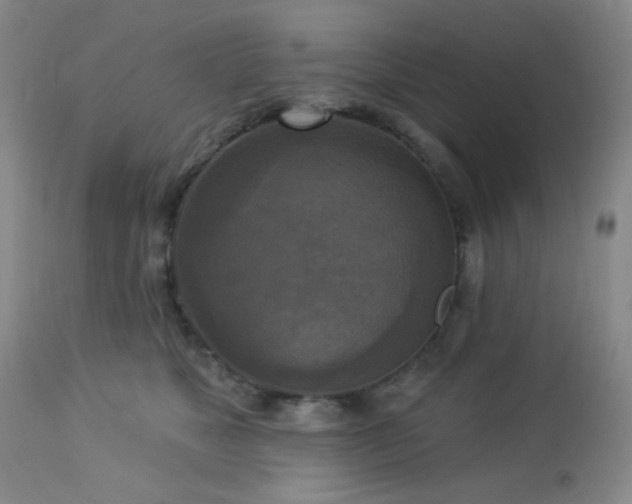 X0000112960517200908271120