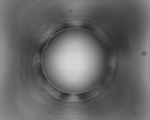 X0000112960518200908271120