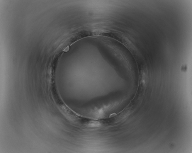 X0000112960519200908271120