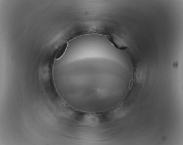 X0000112960520200908271120