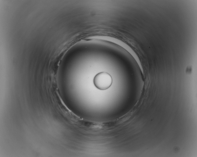 X0000112960521200908271120