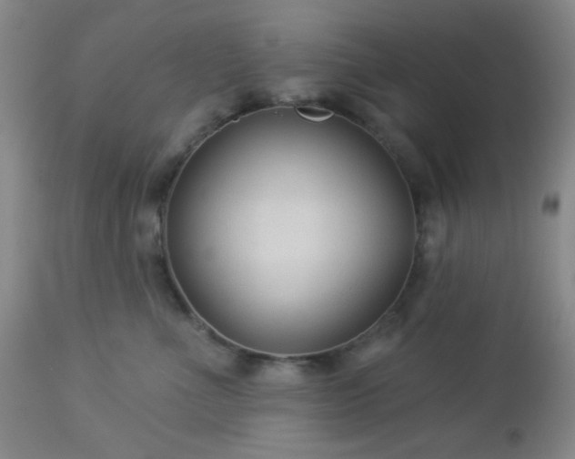 X0000112960523200908271120