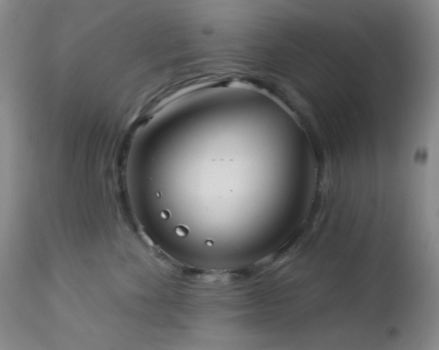 X0000112960524200908271120