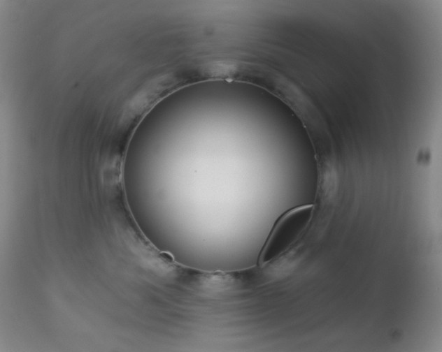 X0000112960525200908271120