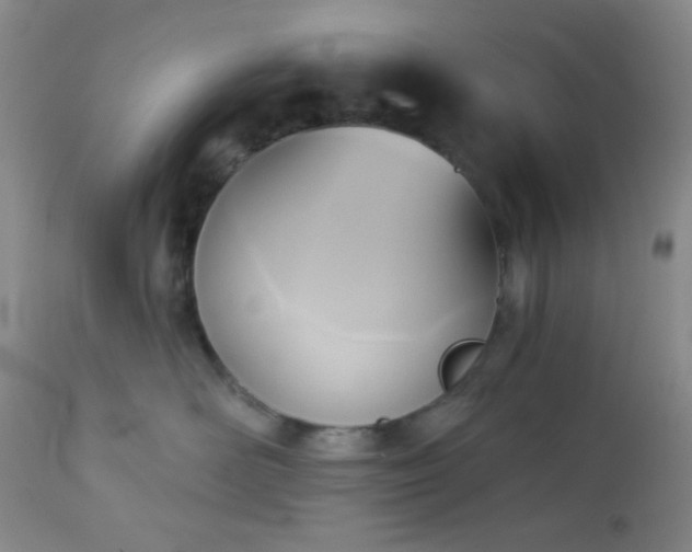 X0000112960526200908271120