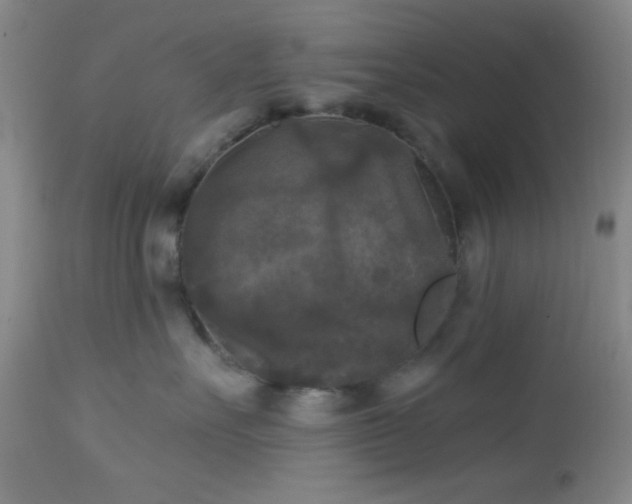 X0000112960527200908271120