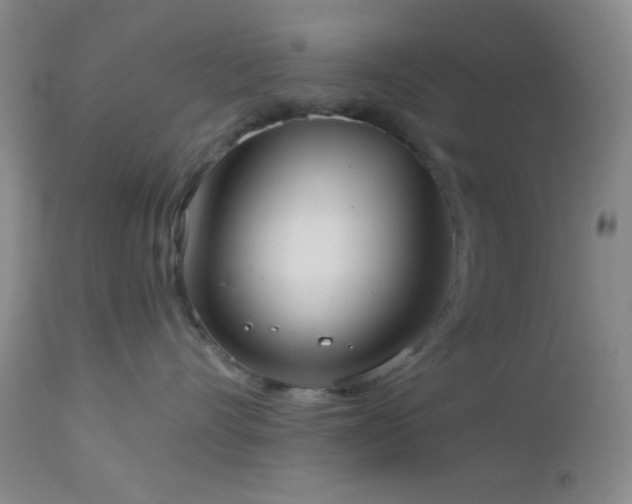 X0000112960528200908271120