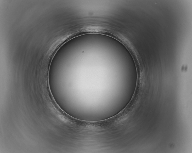 X0000112960529200908271119