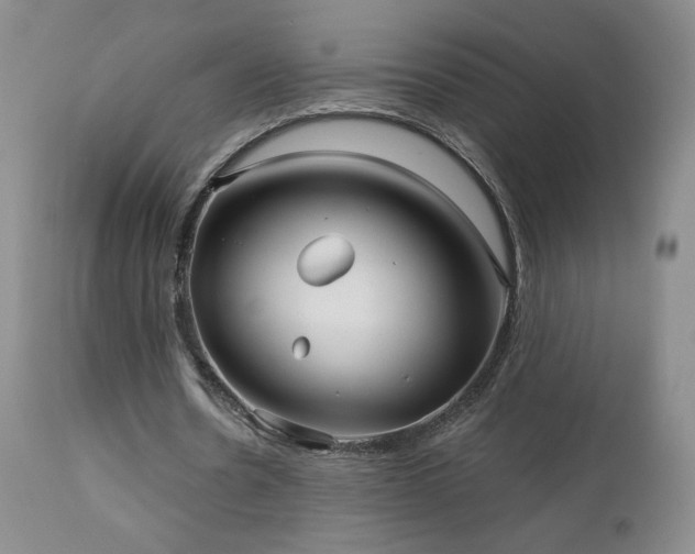 X0000112960530200908271119