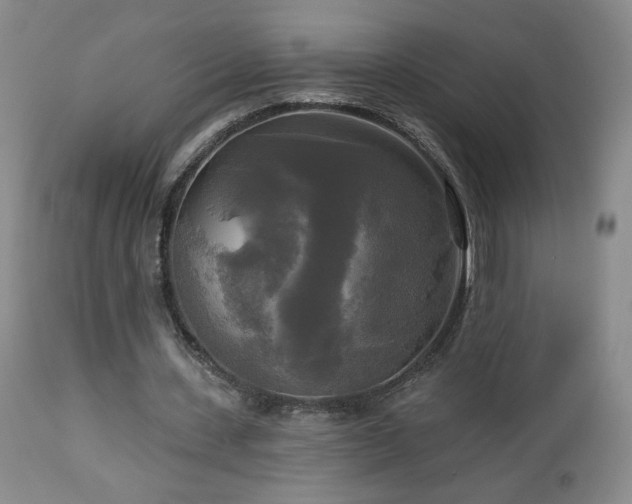 X0000112960531200908271119