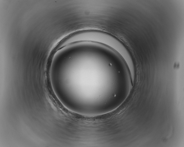 X0000112960532200908271119