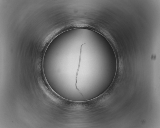 X0000112960533200908271119