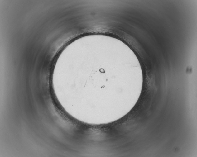 X0000112960534200908271119