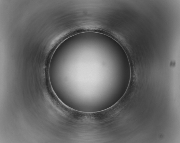 X0000112960535200908271119