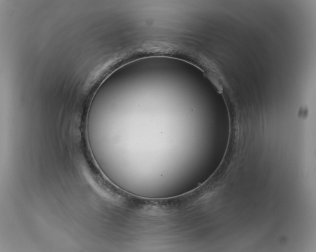 X0000112960538200908271119