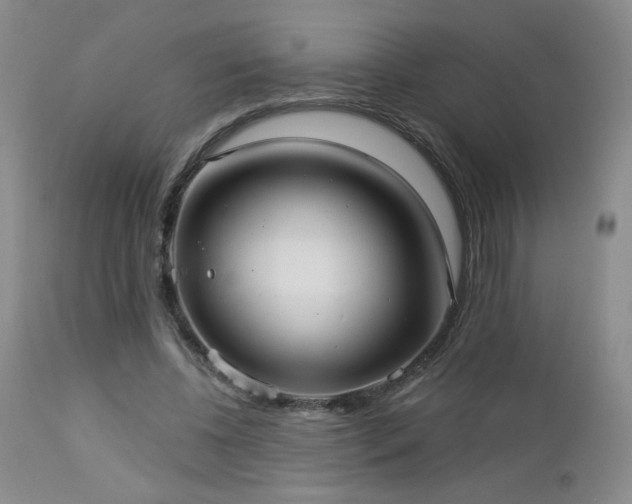 X0000112960540200908271119