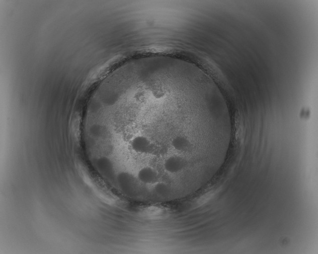 X0000112960542200908271119