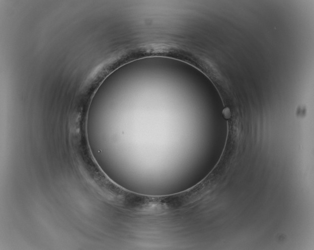 X0000112960543200908271119