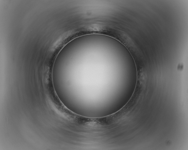 X0000112960544200908271119