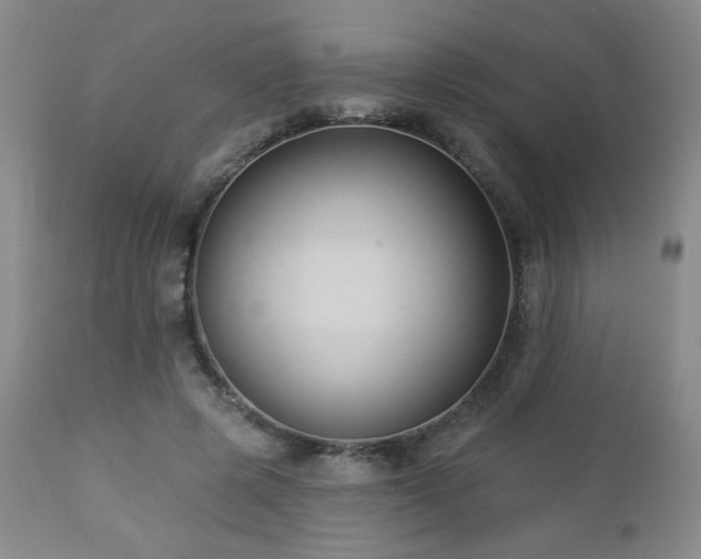 X0000112960545200908271119