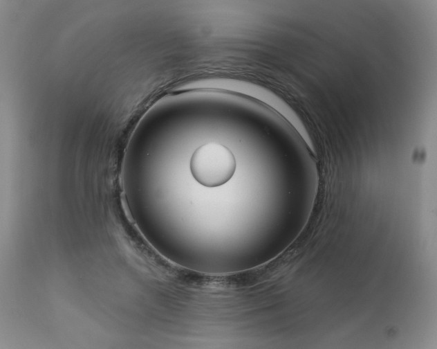 X0000112960546200908271119