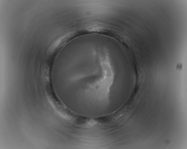 X0000112960547200908271119