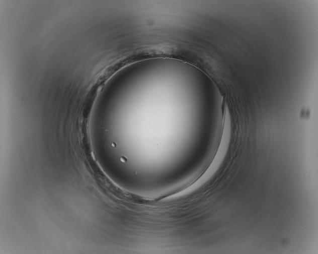 X0000112960548200908271119