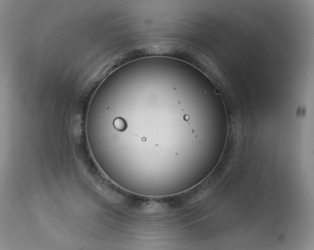 X0000112960549200908271119