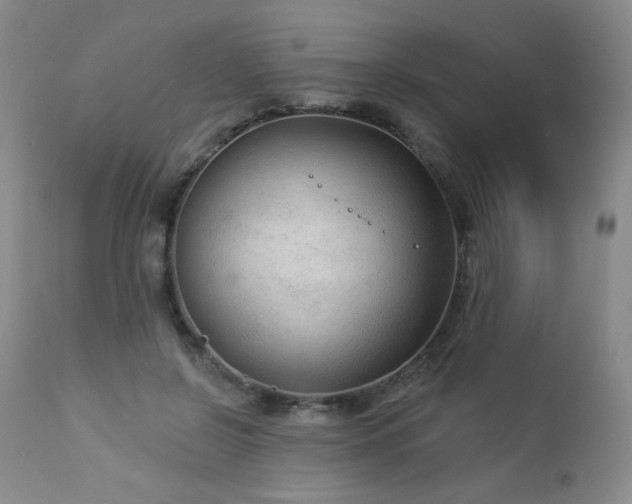 X0000112960550200908271119