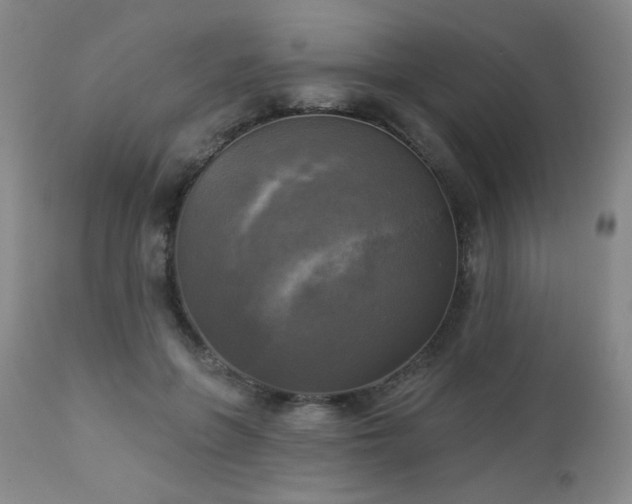 X0000112960551200908271119