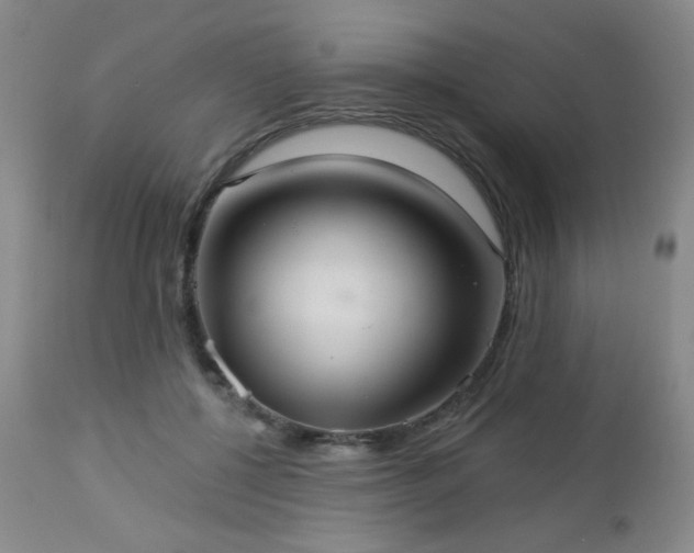 X0000112960552200908271119