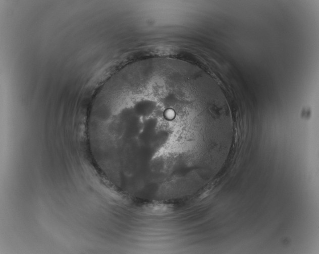 X0000112960553200908271119