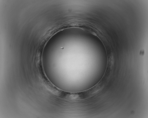 X0000112960554200908271119