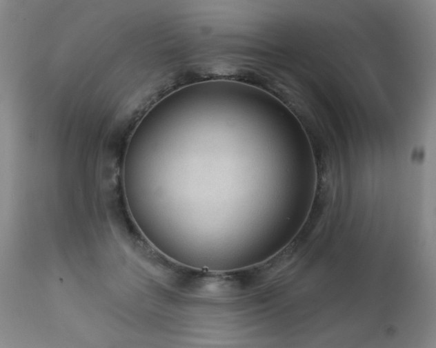 X0000112960555200908271119