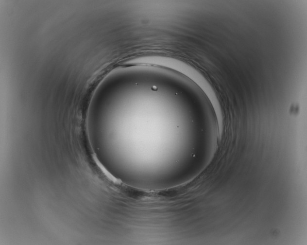 X0000112960556200908271119