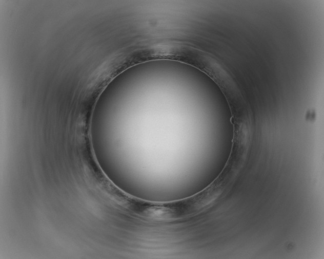 X0000112960557200908271119