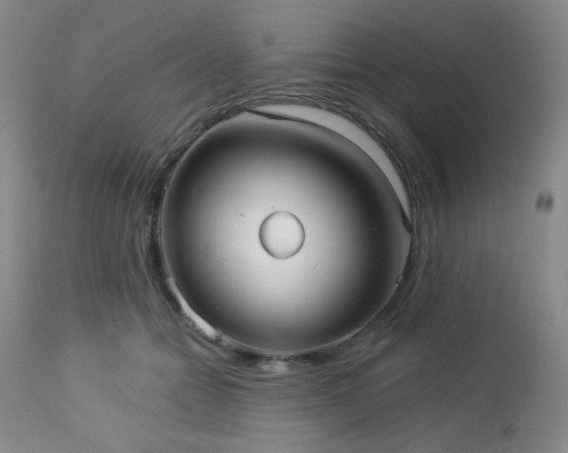 X0000112960558200908271119