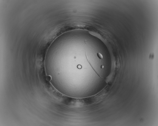 X0000112960559200908271119