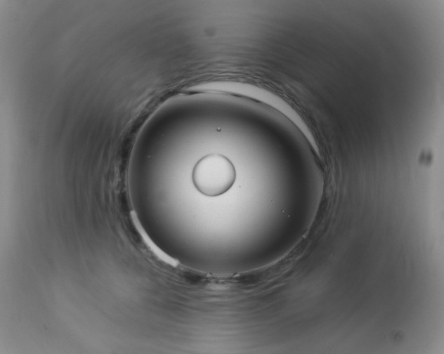 X0000112960560200908271119