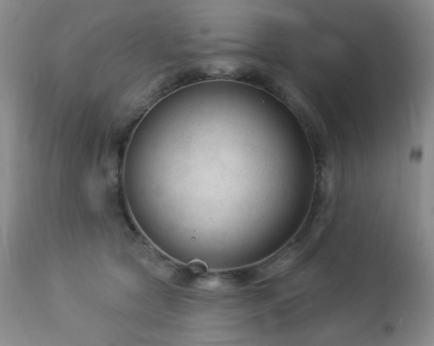 X0000112960561200908271119