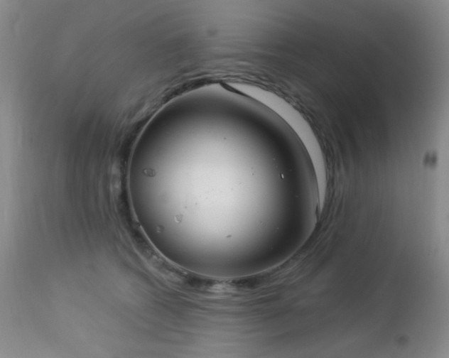 X0000112960562200908271119