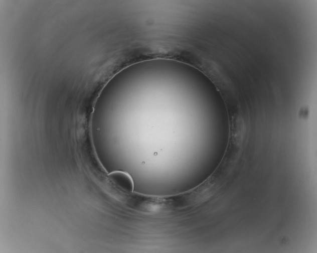 X0000112960563200908271119