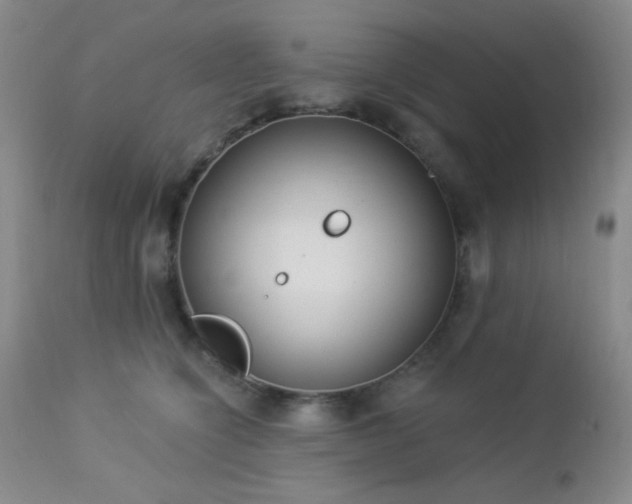 X0000112960564200908271119