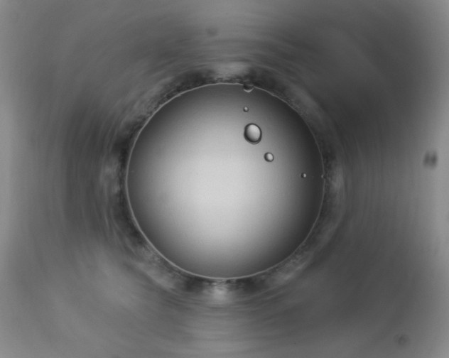 X0000112960565200908271119