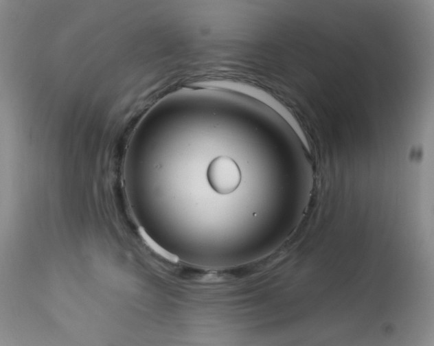 X0000112960566200908271119