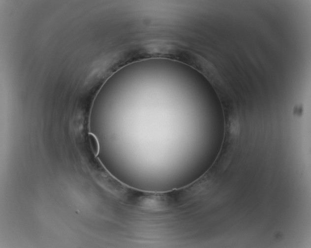 X0000112960567200908271119