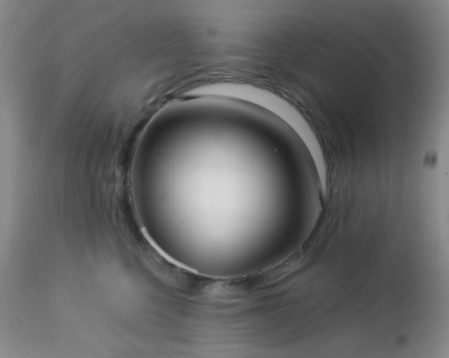 X0000112960568200908271119