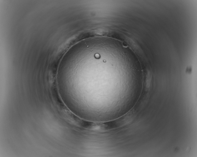 X0000112960569200908271119