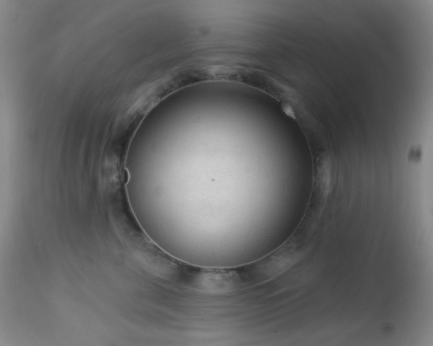 X0000112960571200908271119