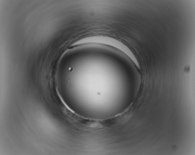 X0000112960572200908271119